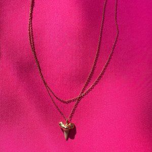 Heather Hawkins Layered Shark Tooth Necklace